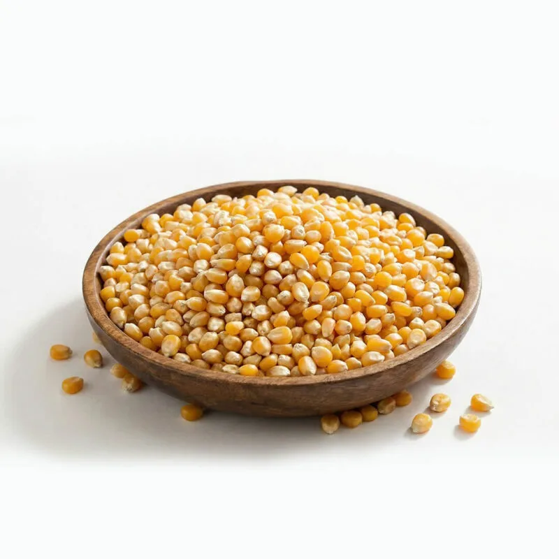 Cin Mısır - Dogal ve Organik | Koyumden Gelsin