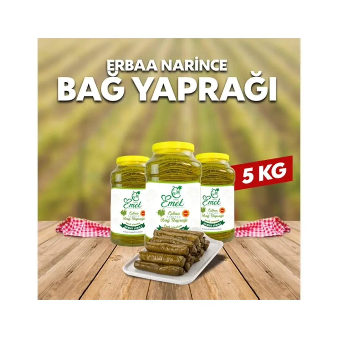 Tokat Erbaa Narince Bağ Yaprağı - Dogal ve Organik | Koyumden Gelsin